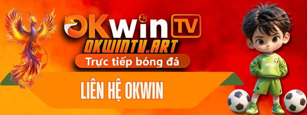 Liên hệ OKWIN – Kết nối trực tiếp với đội ngũ chuyên gia